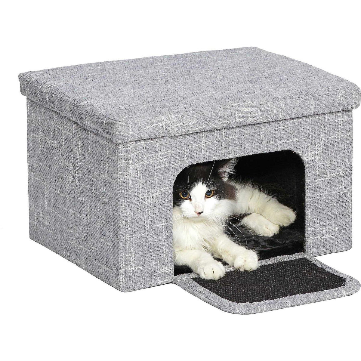 Curious Cat Cube X529766