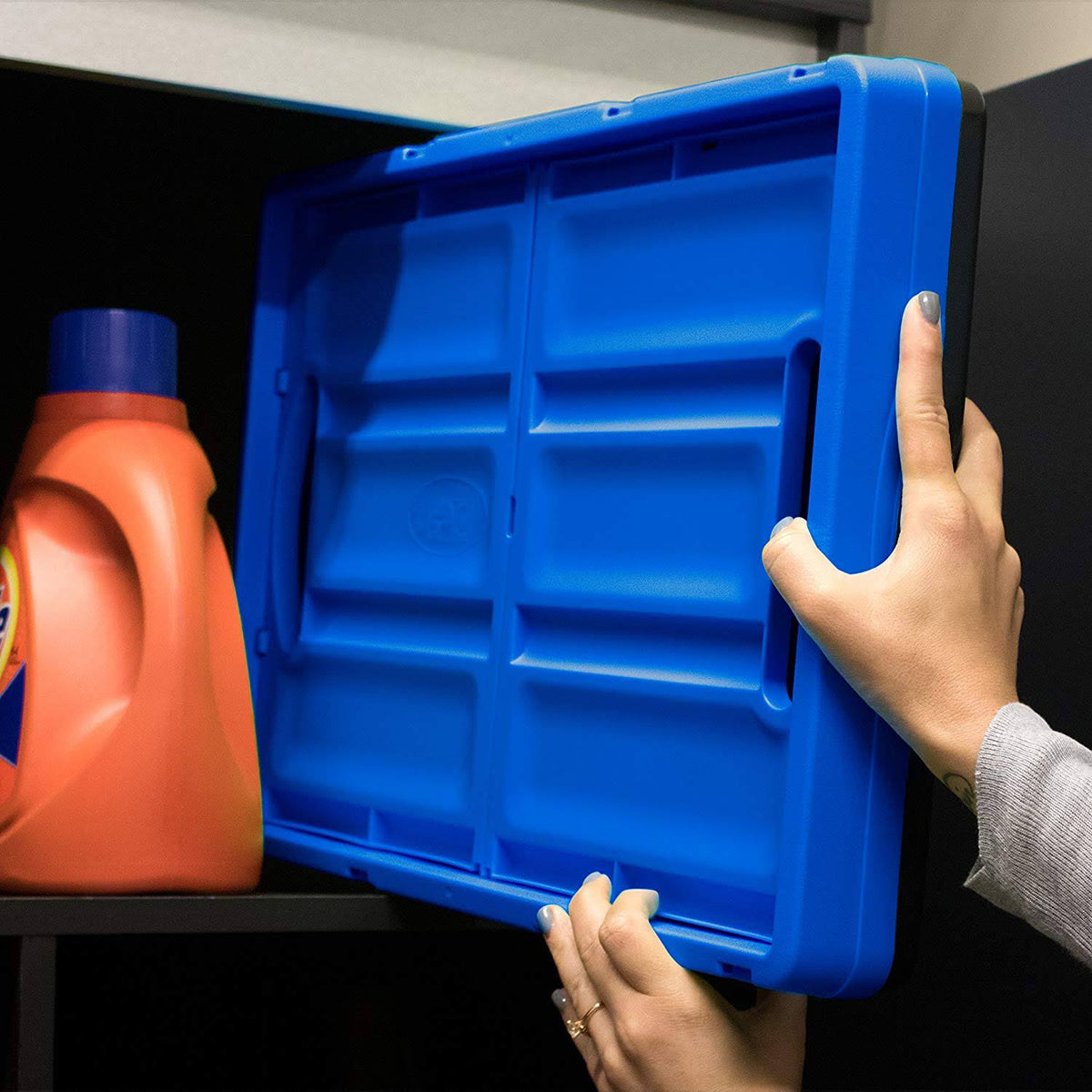 46L Collapsible Storage Bins L765405
