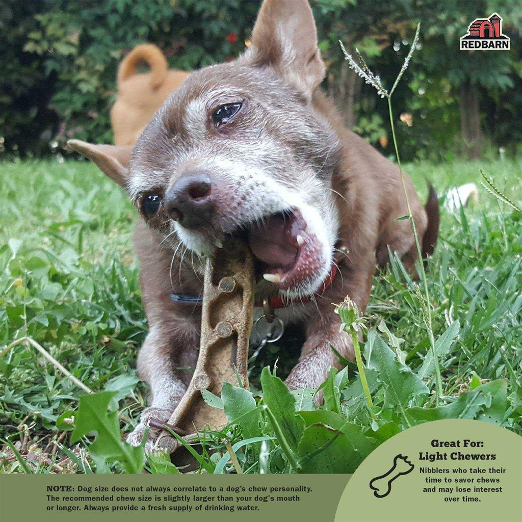 Dental Dog Chew U1160