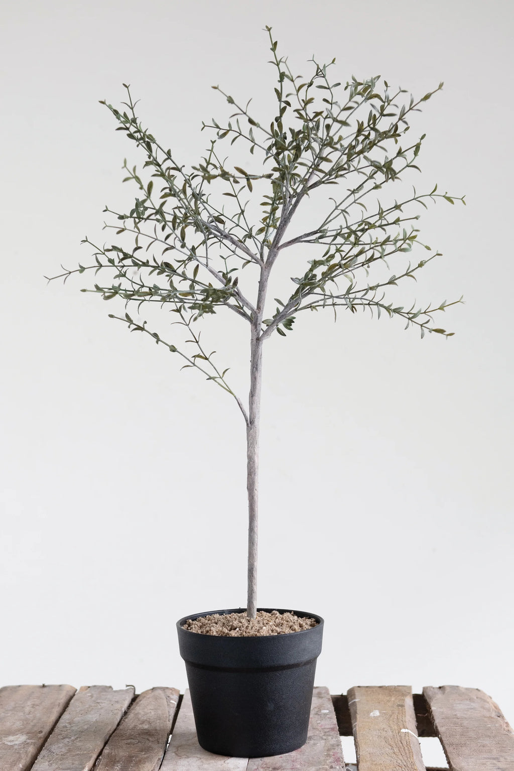 Faux Thyme Topiary in Pot P438971
