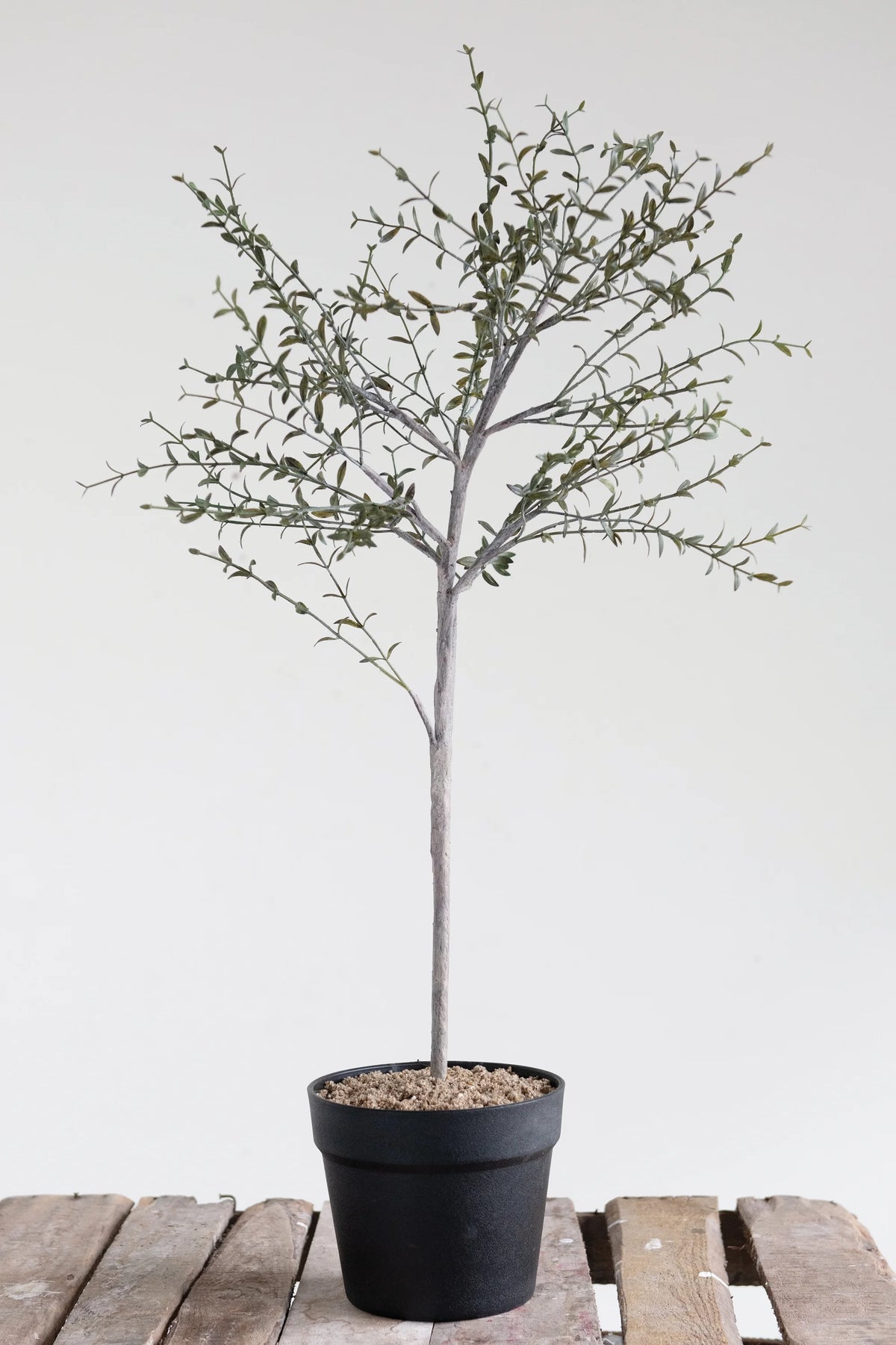 Faux Thyme Topiary in Pot P438971