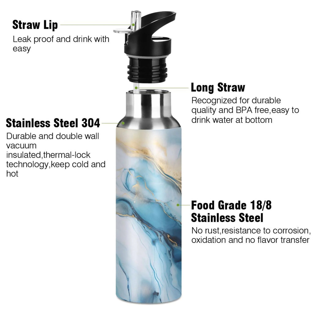 Blue Marble Stainless Steel Insulated Water Bottle with Straw Lid V882623