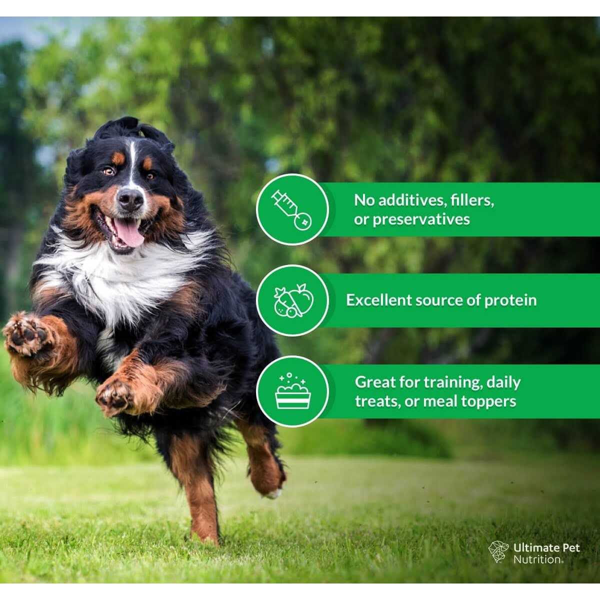 Freeze-Dried Dog Treats H580850