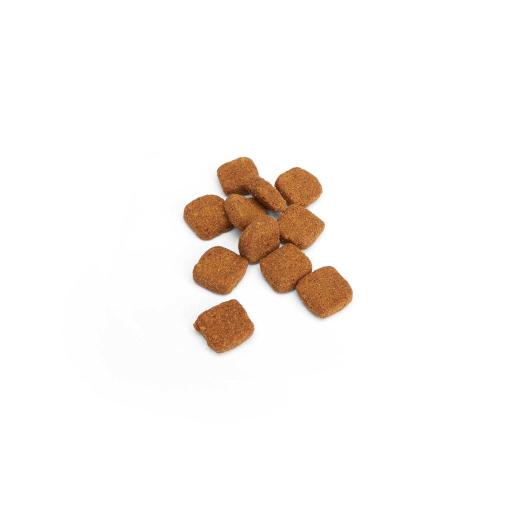 Cat Allergy Soft Chews M3209