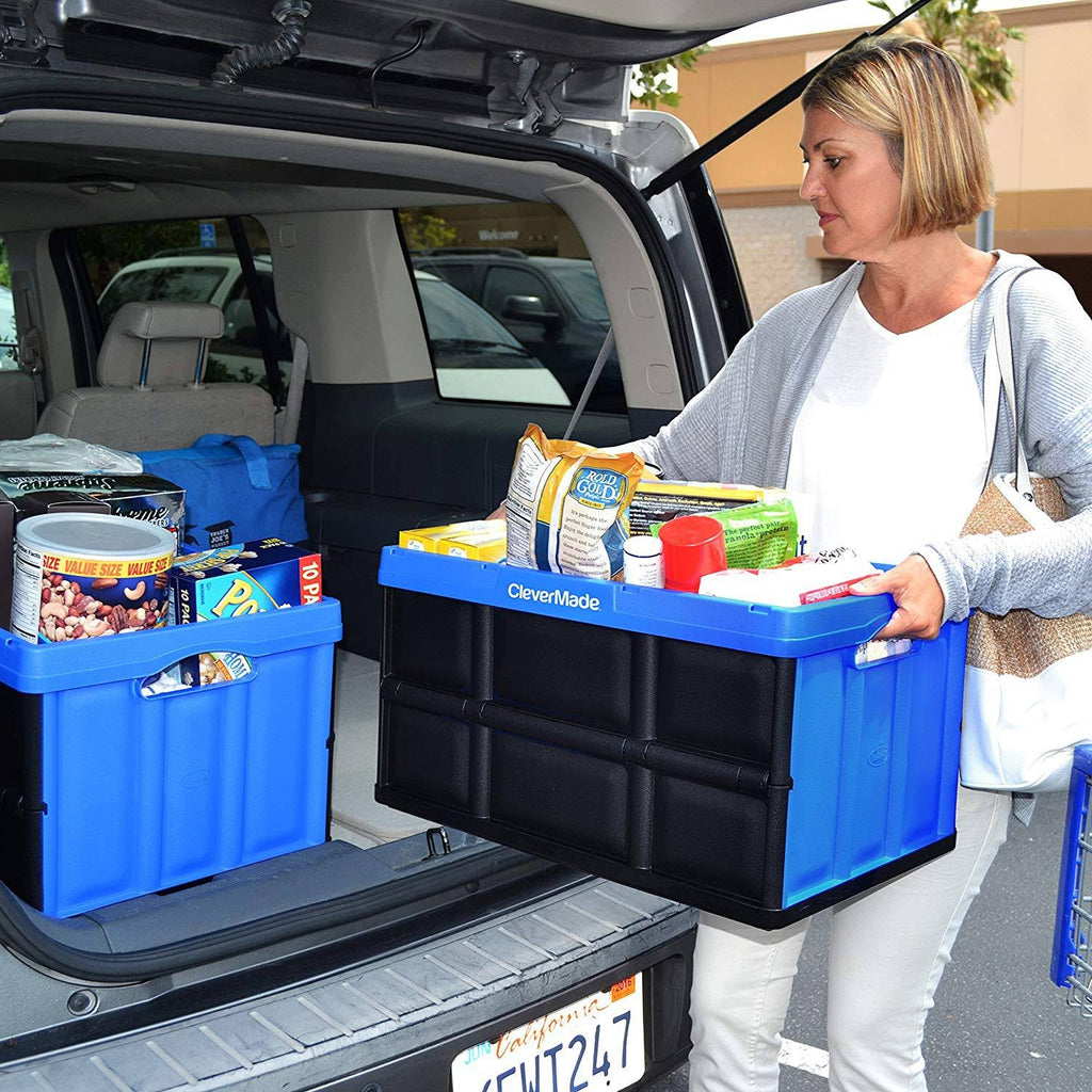 46L Collapsible Storage Bins L765405