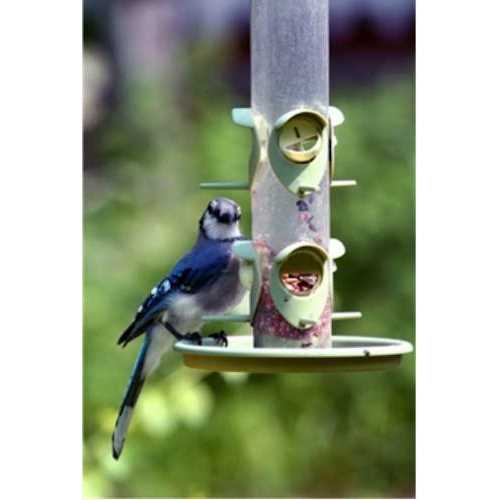 Wild Bird Food R447650