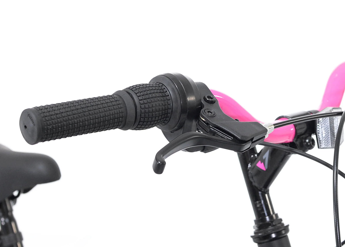 20-inch Girl's Mountain Bicycle B210023