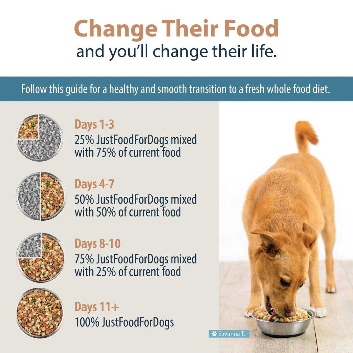 Fresh Frozen Dog Food I862445