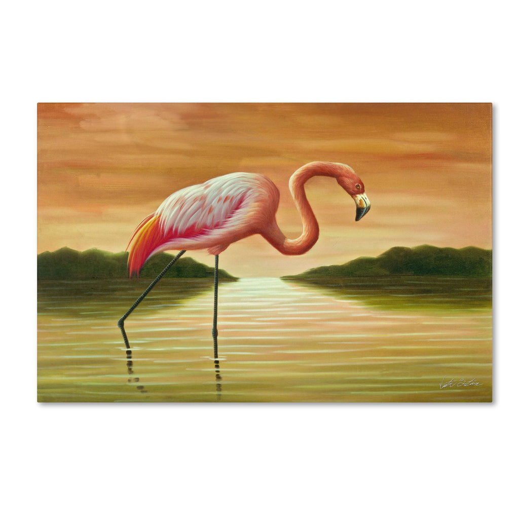 Pink Flamingo Canvas Art Y68001