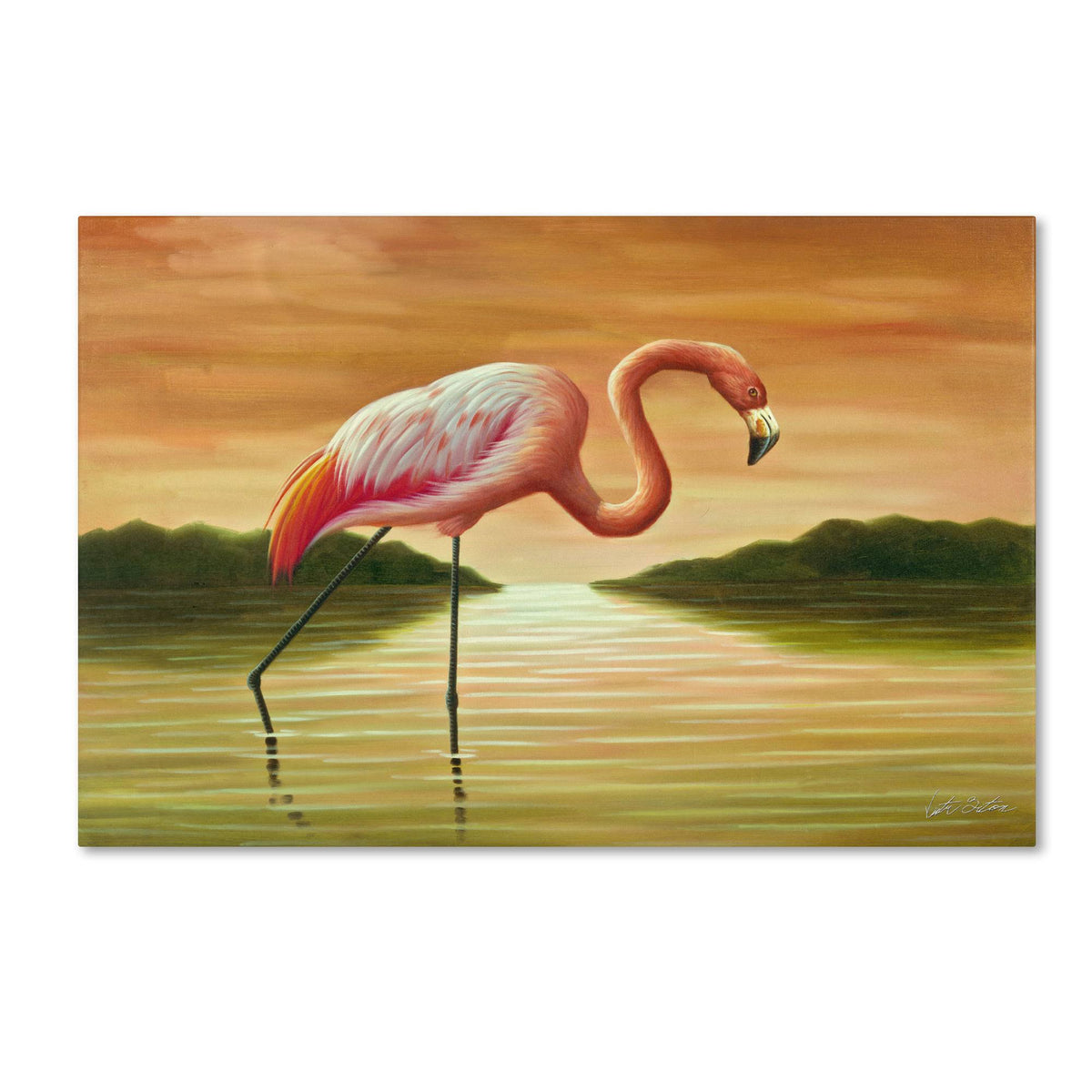 Pink Flamingo Canvas Art Y68001