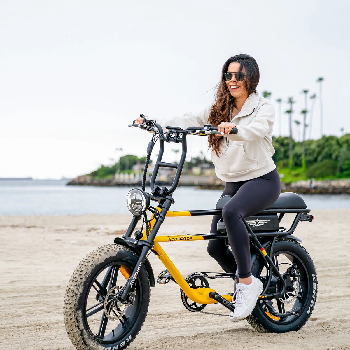 750W 20" Fat Tire Electric Bike J296