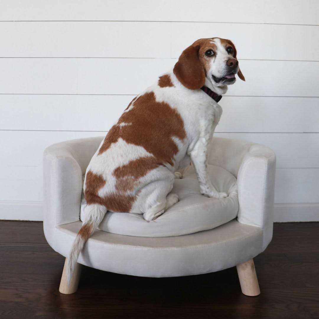 Faux-Velvet Circular Pet Bed R881157