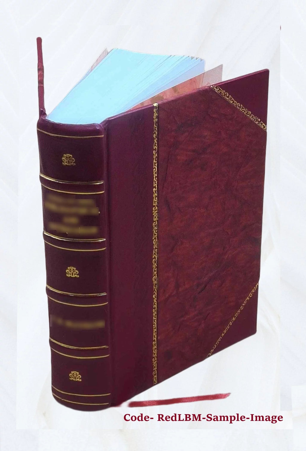 Piscataway and Woodbridge 1664-1714 Leather Bound Q6396