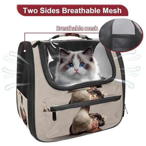 Pet Travel Carrier Soft Sided Portable Bag U26670