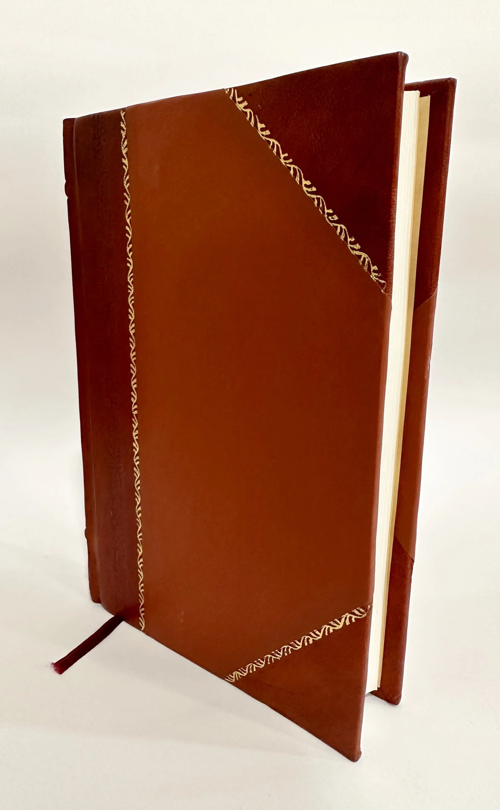 1874 Edition Leather Bound E896
