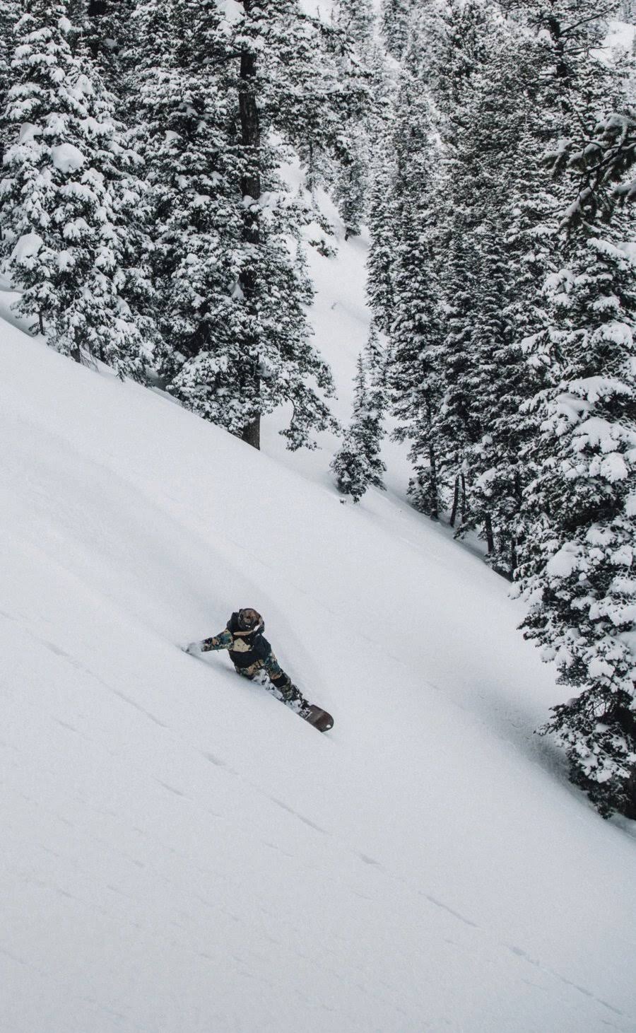 Arbor Camber Snowboard T820
