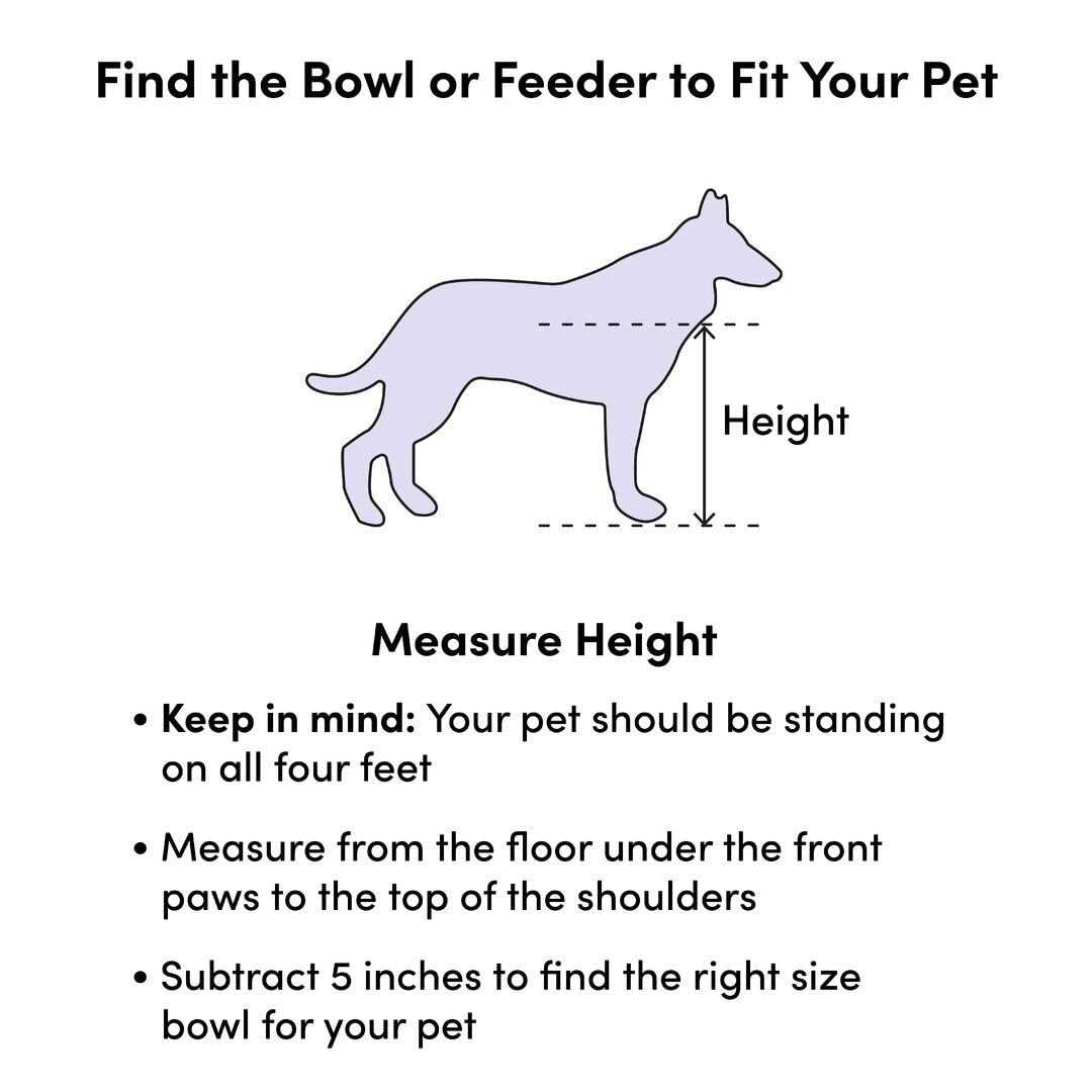 Programmable Pet Food Dispenser A767
