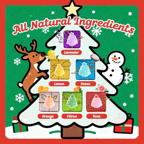 6 Pack Handmade Bath Bomb Set P5473